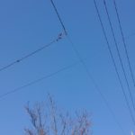藤沢市、茅ヶ崎市で外壁塗装、塗り替え工事をしています。塗幸です。