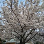 藤沢市で外壁塗装、防水工事をしております。塗幸です。 藤沢市で外壁塗装、防水工事をしております。塗幸です。